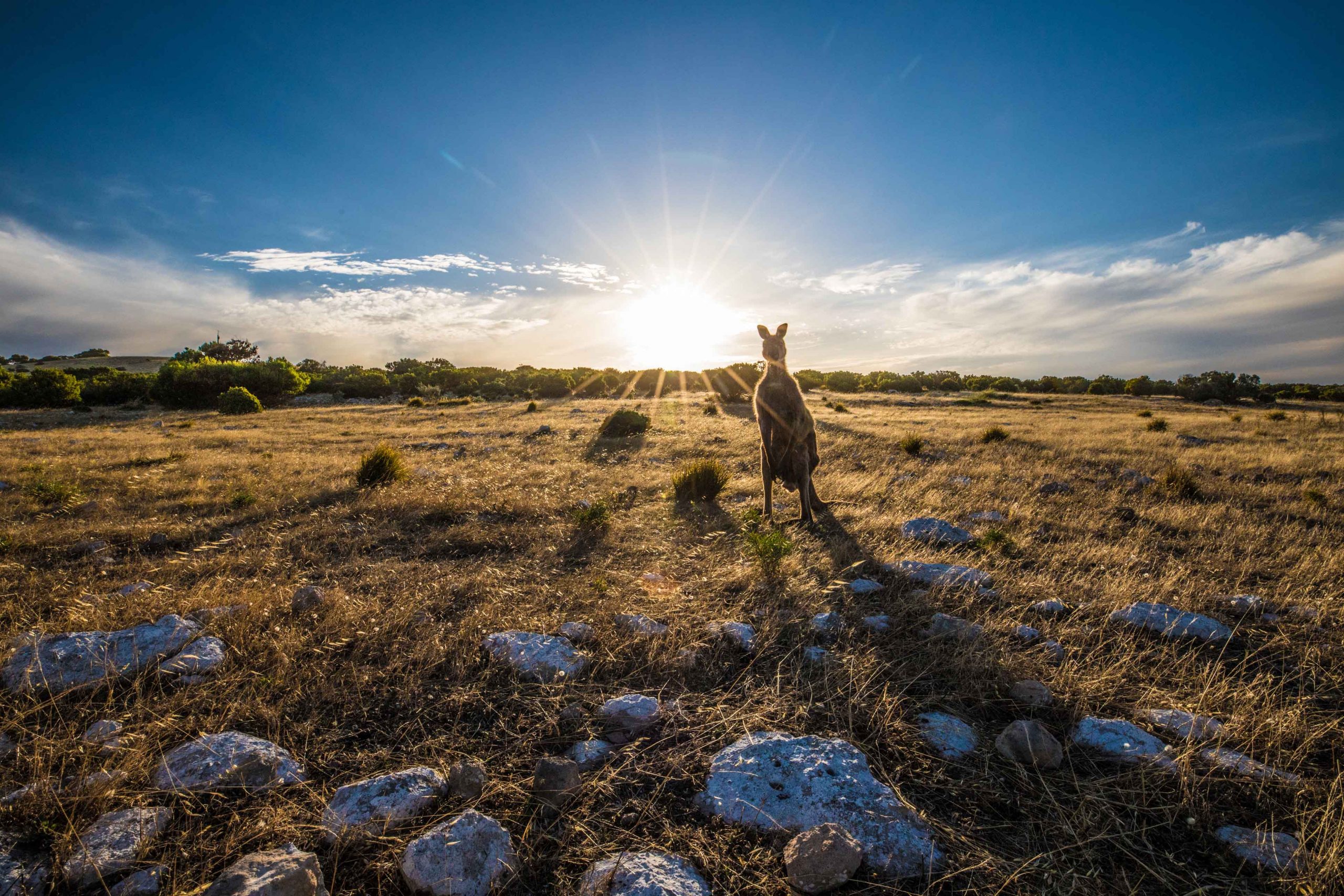 Kangaroo Island, Australia